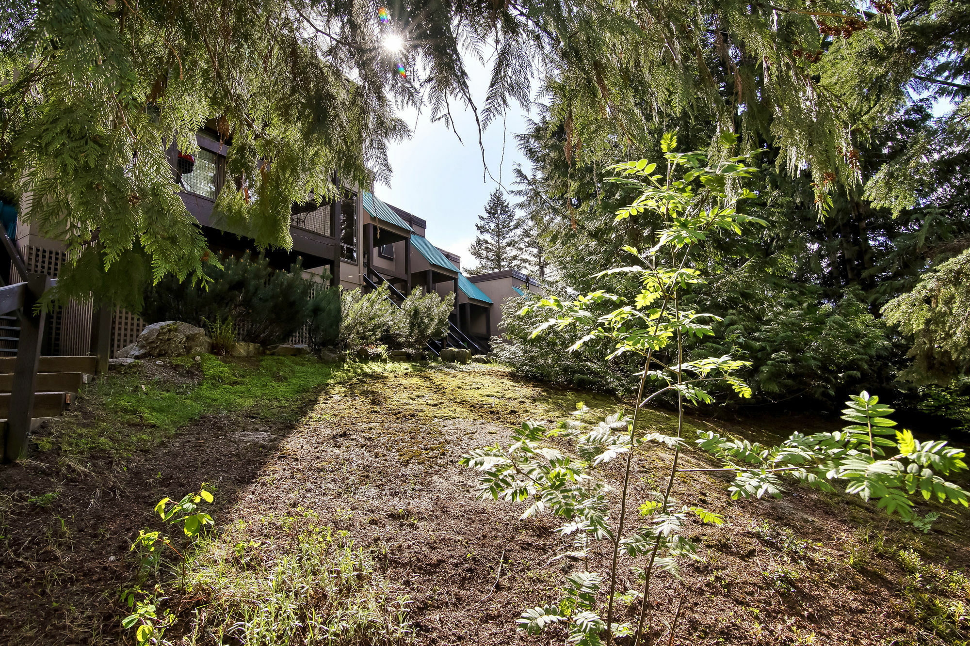 Whiski Jack Creekside Whistler Exterior photo